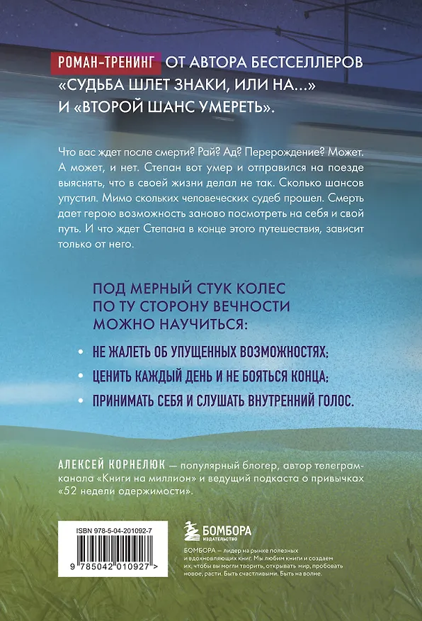 Книга По ту сторону Вечности. Роман-тренинг о том, что мы сами выбираем свою жизнь (Алексей Корнелюк) — 2