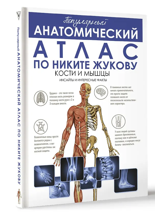 Книга Популярный анатомический атлас по Никите Жукову. Кости и мышцы. Инсайты и интересные факты (Никита Жуков) — 4