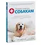 Первая помощь собакам. Осмотр, действия в экстренных ситуациях, аптечка первой помощи, социализация — 2925411 — 3