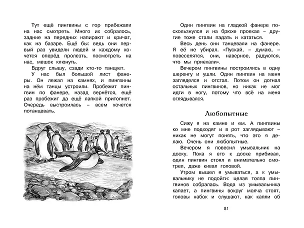 Книга Беспокойный хвостик (Геннадий Снегирёв) — 5
