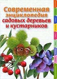 Современная энциклопедия садовых деревьев и кустарников — 2181996 — 1