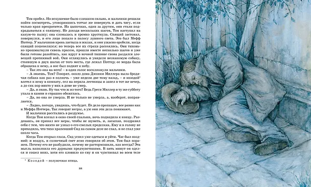 Книга Приключения Тома Сойера (Марк Твен) — 14