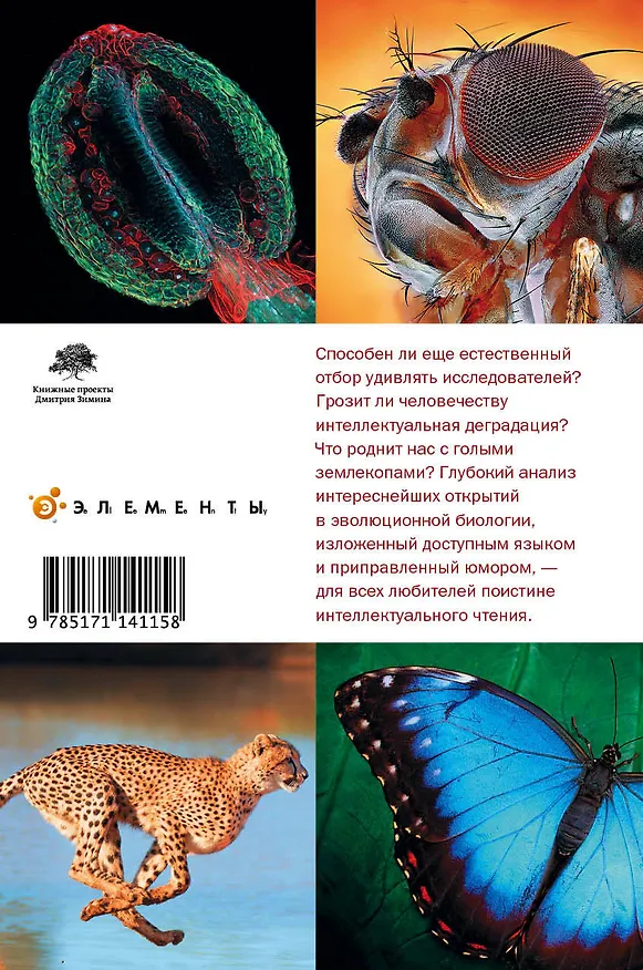 Книга Перспективы отбора (Елена Наймарк, Александр Марков) — 2