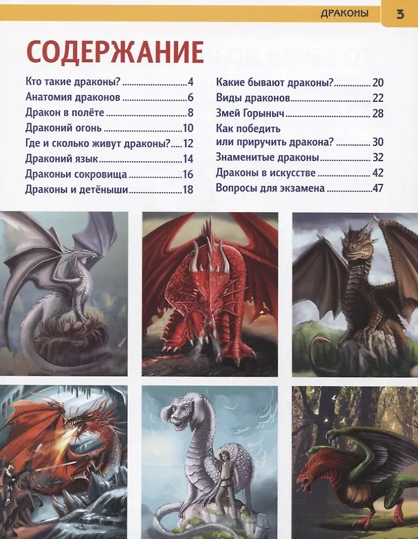 Книга Драконы. Энциклопедия с развивающими заданиями (Наталья Ерофеева) — 2