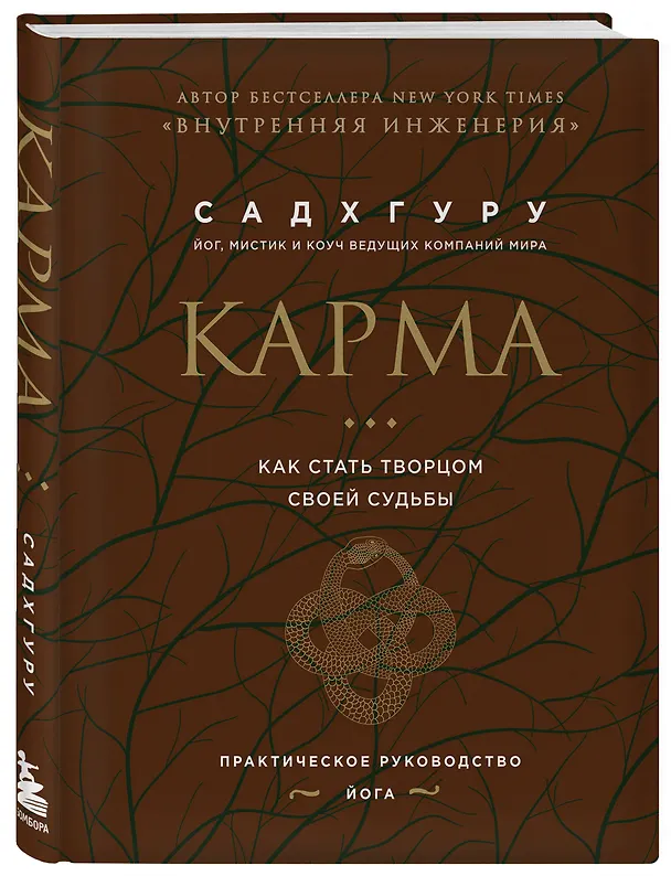 Книга Карма. Как стать творцом своей судьбы (бизнес) (Садхгуру) — 4
