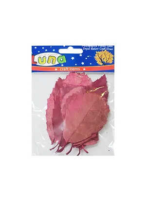 Сухоцветы Листья красные (0620168) (12шт) (для детского творчества) (3+) (упаковка) 2442358