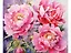 Алмазная мозаика (классическая) с подрамником, с полным заполнением "Акварельные пионы", 17 х 22 см — 3113018 — 1