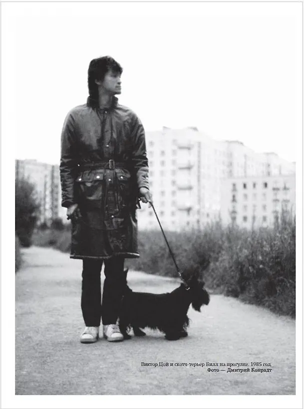 Книга Виктор Цой. Подлинные черновики. Песни, рукописи, рисунки. Памятный альбом (Виктор Цой, Виталий Калгин) — 13