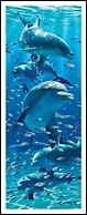 Закладка 3D Dolphins (Листопадова) 2263161 — 1