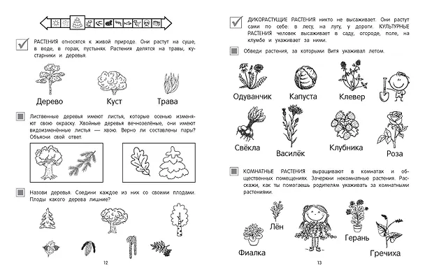 Книга Мир вокруг (Анна Горохова, Алла Волох) — 6