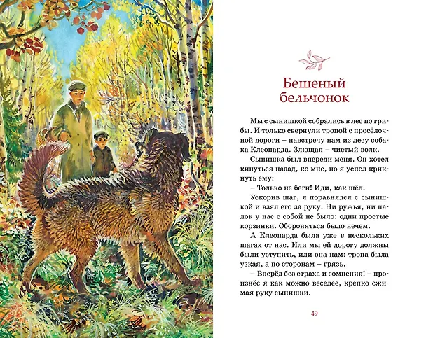 Книга Рассказы о животных (Виталий Бианки) — 15