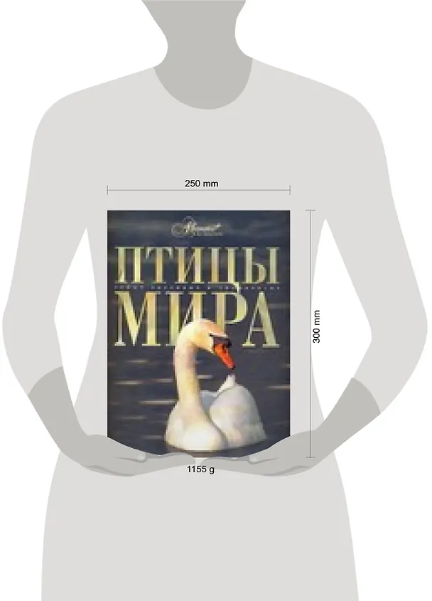 Книга Птицы мира (Константин Михайлов) — 2