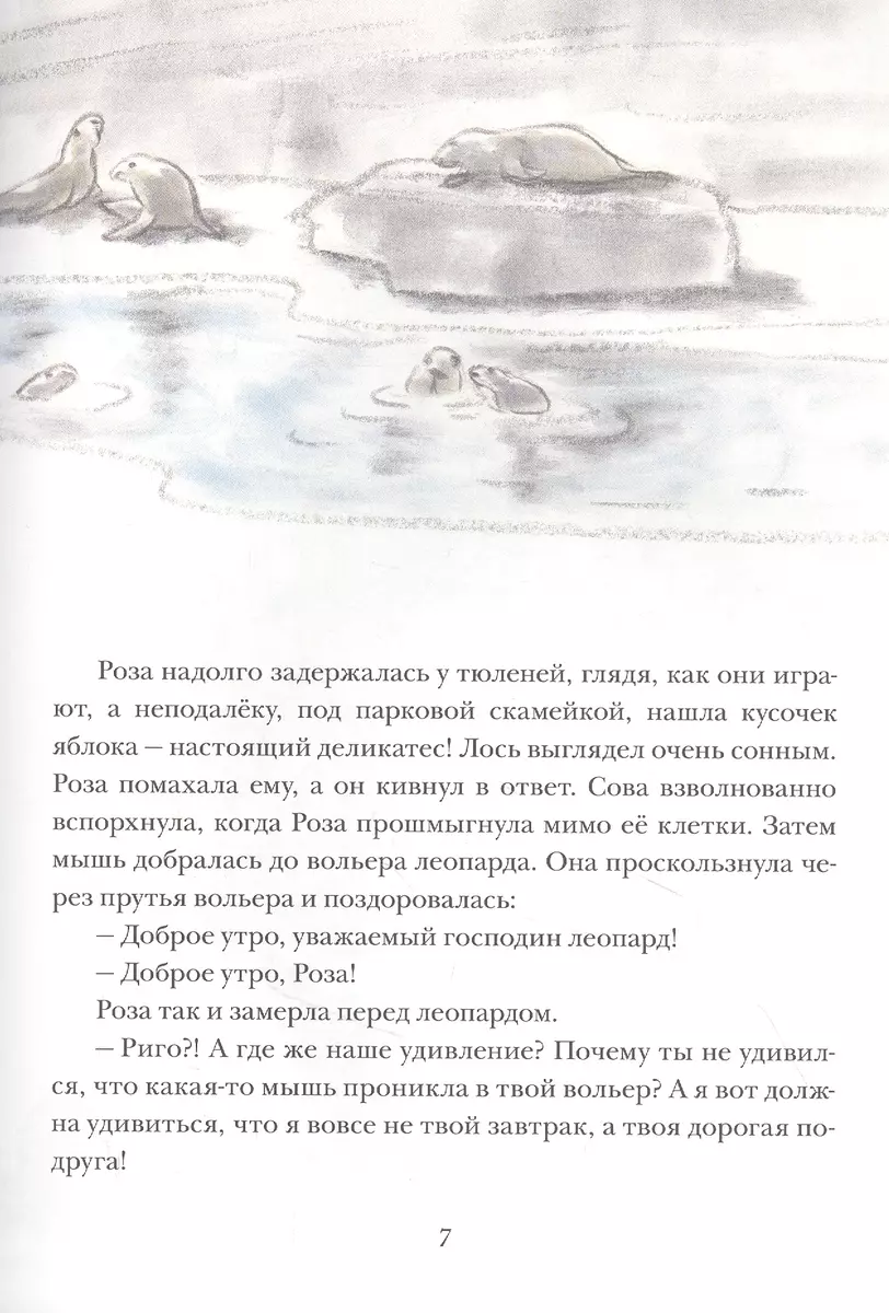 Риго и Роза. 31 история о чудных мелочах. Сказка (Лоренц Паули) - купить  книгу с доставкой в интернет-магазине «Читай-город». ISBN: 978-5-4335-0988-7