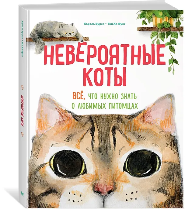 Книга Невероятные коты. Всё, что нужно знать о любимых питомцах (Кароль Бурсе) — 4