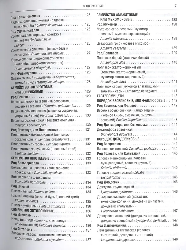 Книга Грибы Полная илл. энциклопедия Более 400 видов грибов... (Куреннов) () — 9