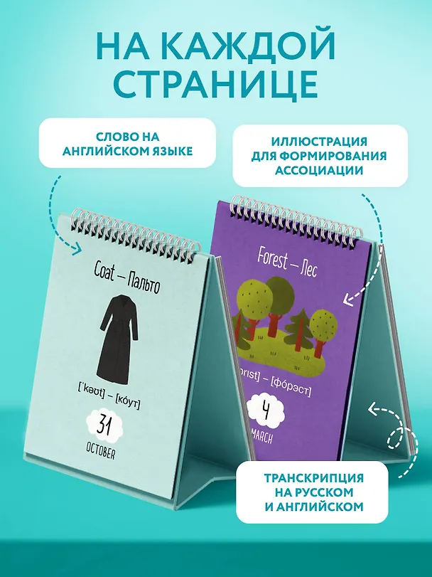 Мой первый календарь. 366 английских слов для детей. Вечный настольный календарь-домик 3134545 — 4