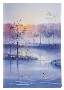 Ежедневник недат. А5 160л "Наппа. Аффирмации" синий, кожзам, мягк. переплет, тисн.фольгой, офсет, справ.мат-лы, 2 ляссе, инд.уп