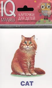 Умный малыш. ENGLISH. Домашние питомцы. Набор карточек для детей.