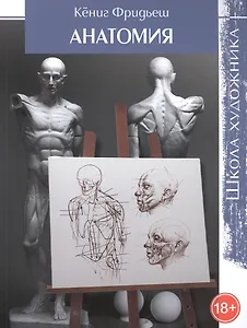 Школа художника: Анатомия