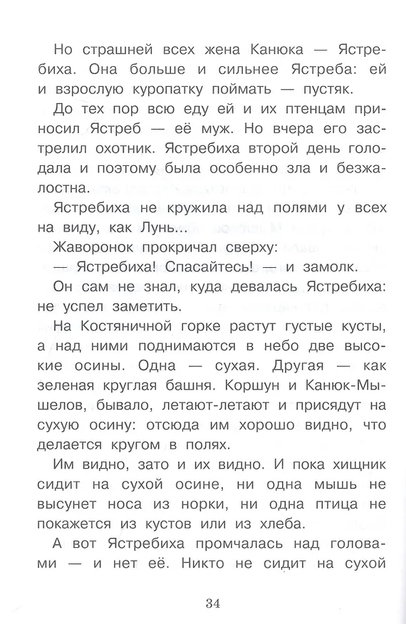 Книга Оранжевое горлышко (Виталий Бианки) — 5