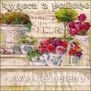 Наб. салф. для декупажа Клумбы с цветами (НСД2039) (2шт) (упаковка)