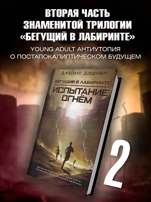 Книга Испытание огнем (Джеймс Дэшнер) — 4