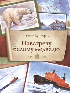 Навстречу белому медведю
