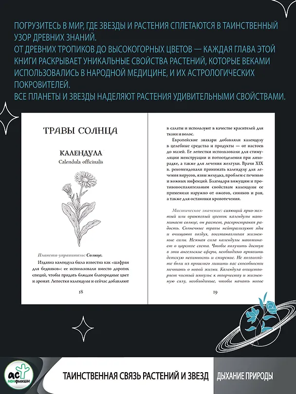 Книга Мудрость земли и космоса. Мистическая связь небес и земли (Адриана Аялес) — 6