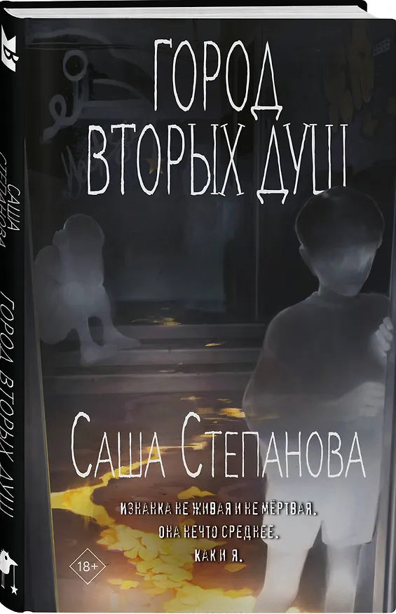 Книга Город вторых душ (Саша Степанова) — 4