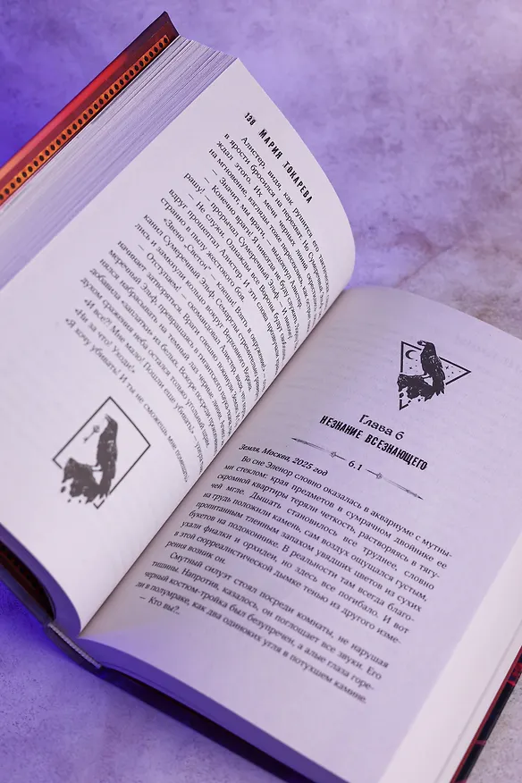 Книга Тринадцатый Проклятый. Скорбь Стража (Мария Токарева) — 14