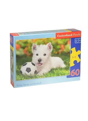 Пазл 60 MIDI B-06823 Белый щенок с мячом (32х23см) (5+) (коробка) (Castorland) 2480280