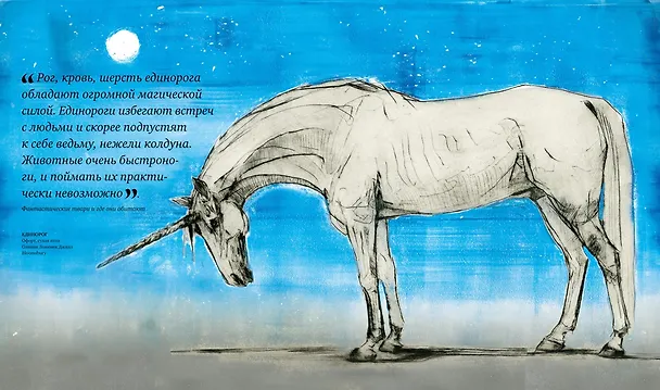 Книга Фантастические твари. Природа чудес волшебного мира (Ранульф Файнс, Хелен Скейлс, Льюис Бакли, Андреа Харт) — 15