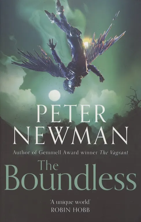Книга The Boundless (Peter Newman) — 1
