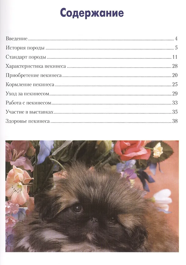 Книга Пекинес Содержание и уход () — 2