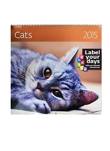 Дневник для мл.кл. "МЕДВЕЖОНОК И КНИЖКИ" 7БЦ, глянц.пл., Феникс+