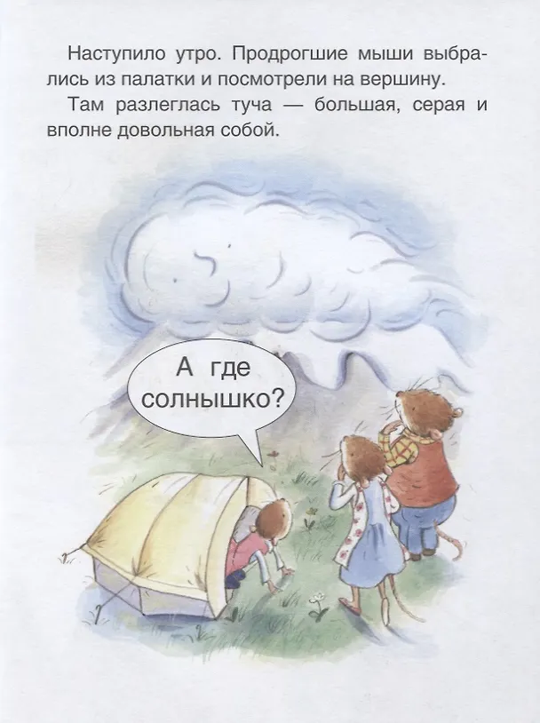Книга Свадьба мышек. Уровень 1 (Маири Макиннон) — 5