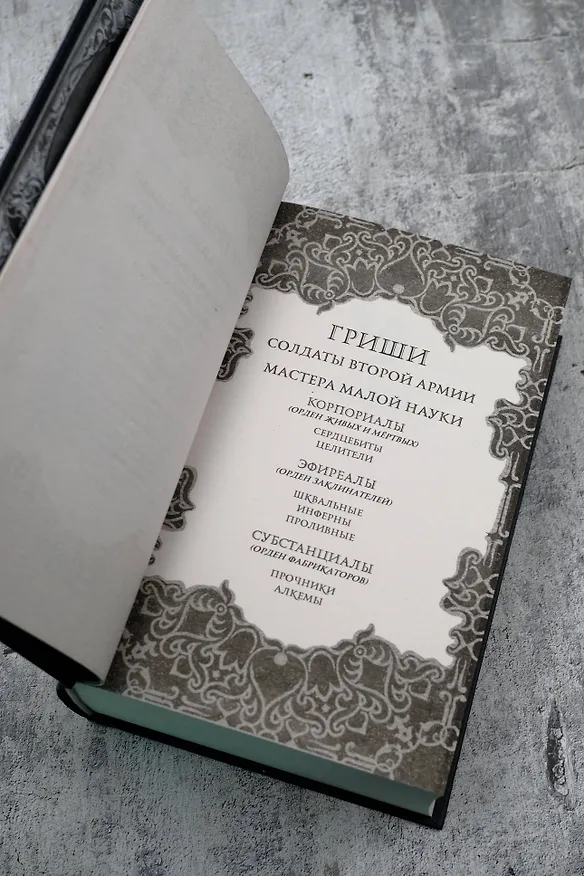 Книга Продажное королевство (Ли Бардуго) — 14