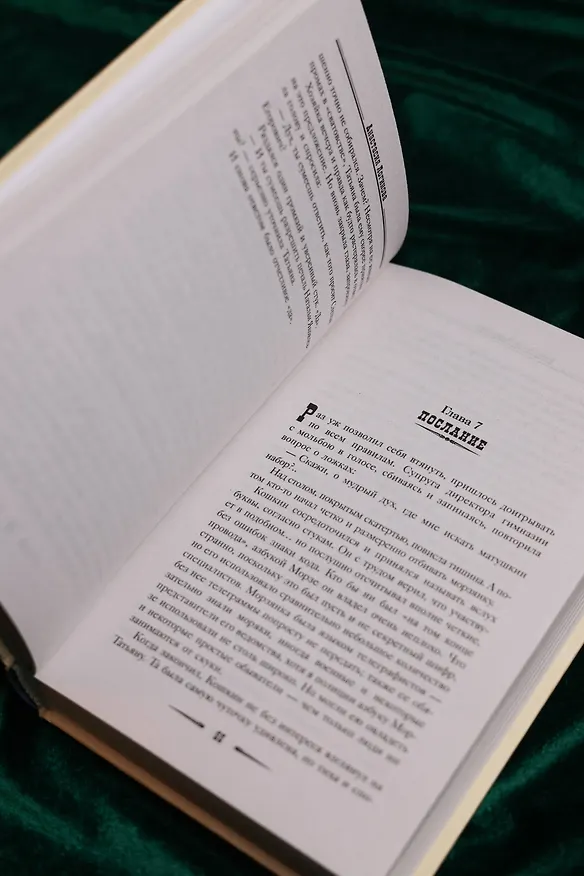 Книга Пепел золотой птицы (Анастасия Логинова) — 11