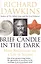 Brief Candle in the Dark. My  Life in Science — 2533535 — 1