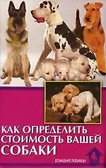 Как определить стоимость вашей собаки