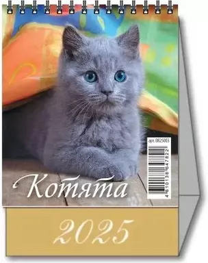 Календарь 2025г 100*140 "КОТЯТА" настольный, домик — 3053977 — 1