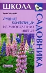 ЛУЧШИЕ КОМПОЗИЦИИ ИЗ МНОГОЛЕТНИХ ЦВЕТОВ — 2128185 — 1