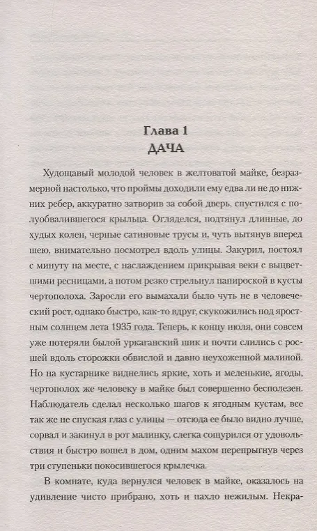 Книга Тайна двух чемоданов (Роман Ронин) — 3