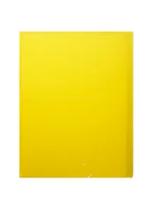 Папка 20ф А4 "Neon" желтая, пластик, Erich Krause