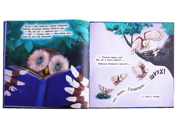 Книга Не хочу я спать! (Джейн Чапмен) — 4