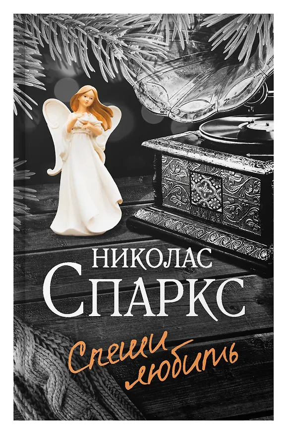 Книга Спеши любить (Николас Спаркс) — 7