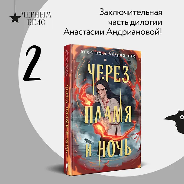 Книга Через пламя и ночь (Анастасия Андрианова) — 5