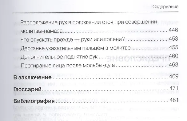 Книга Как увидеть Рай? (Шамиль Аляутдинов) — 4