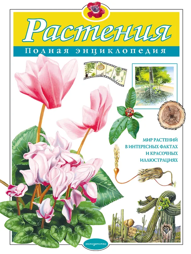 Книга Растения. Полная энциклопедия: Мир растений в интересных фактах и красочных иллюстрациях (Юлия Школьник) — 1