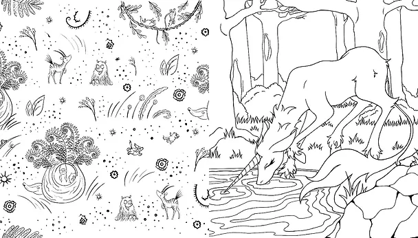 Книга Лесные создания и феи. Раскраска () — 9